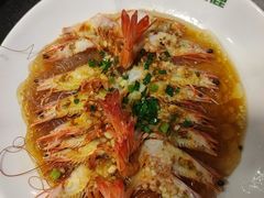 -新白鹿餐厅(百联中环店)