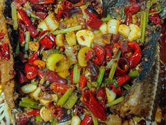 -美蛙四季(亦庄店)