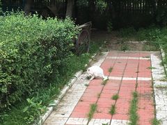 -白渔泡湿地公园