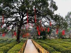-中国茶叶博物馆(双峰馆区)