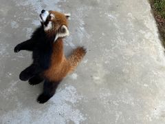 -杭州野生动物世界