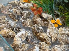 -涨巢·潮玩水疗局