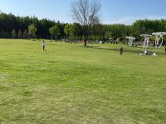 -黄海国家森林公园