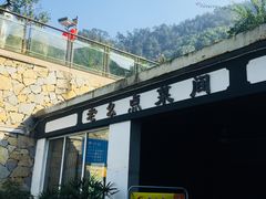 -老幺泉水鸡