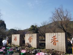 -香雪海