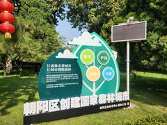 -团结湖公园