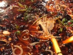 -鸿顺老铁锅美蛙鱼府(解放碑店)