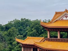 -深圳仙湖植物园
