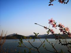 -望湖烤鱼