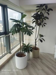 -HEYAN荷妍专业脱毛连锁机构