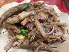 洋葱青椒炒山坑鱼-华园农庄·特色炭烧鸡·北江河鲜