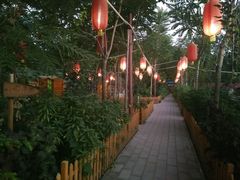 -草根堂农场
