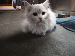 -长安大学(北校区)