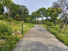 -嬉乐湾休闲旅游区