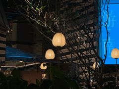 -桂满陇·海市蜃楼·黑金(国金店)