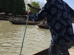 摇橹船180元一条包船-溱湖国家湿地公园