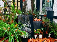 -一尺花园(安和花园店)