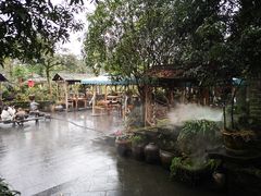 -青城甲(青城山店)