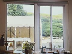 -龙坞茶村
