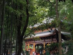 -灵岩山风景区
