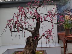 -燕郊植物园