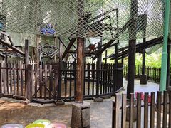 -深圳欢乐谷