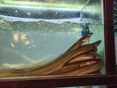 -顺意·顺德家乡菜(国际人才大厦店)