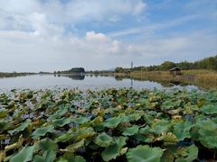 -苏州太湖湖滨国家湿地公园