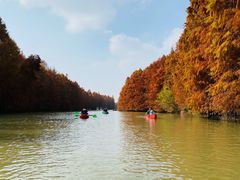 -上海海湾国家森林公园