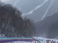 -亚布力新体委滑雪场