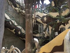 -疯狂屋