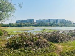 -华侨城湿地公园