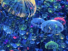 -天津梵高星空艺术馆(天河城旗舰店)