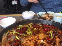 -老板恋上鱼(恒隆广场店)