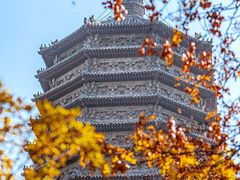 -玲珑塔公园