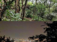 -惠山国家森林公园
