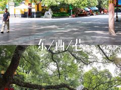 -东西巷