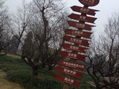 -秀丽东方