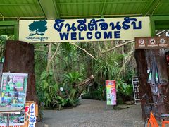 -绿光森林餐厅