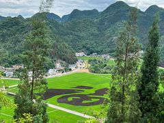 -万峰林风景区