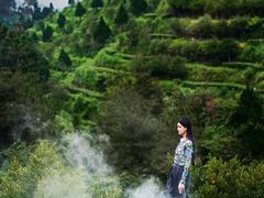 -华祥苑茶馆•国缤茶小蓝罐(普罗旺斯店)