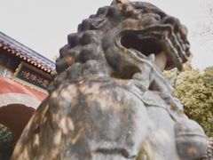 -灵谷景区