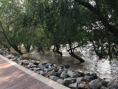 -宝安西湾红树林湿地公园