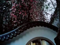 -深圳国际园林花卉博览园