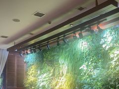 -泽云梵莲花足浴 按摩 SPA(滨湖店)