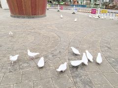 -南宫五洲植物乐园