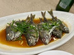 -湛江渔港·大排档(乐园路总店)
