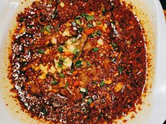 -柴窝堡22号辣子鸡·传承新疆菜