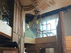 -東北一鴿(繁荣路店)