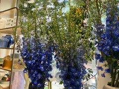 -弗劳尔花艺坊(龙涛店)